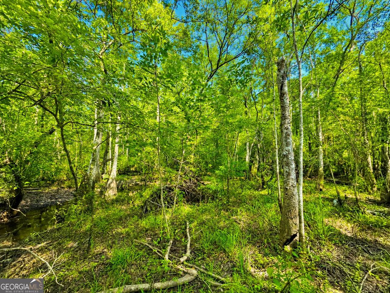 0 Herrin Lake - Photo 1