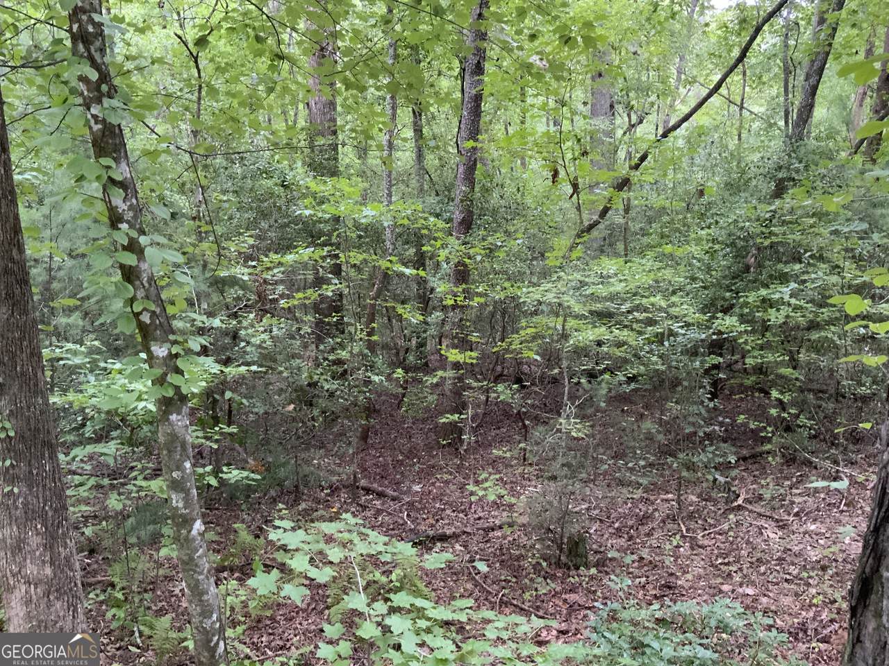 https://bt-photos.global.ssl.fastly.net/gamls/1280_boomver_1_10824865-2.jpg