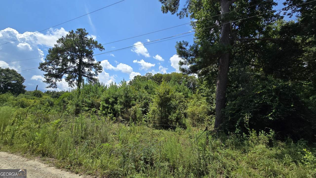 7161 Molton Road - Photo 1