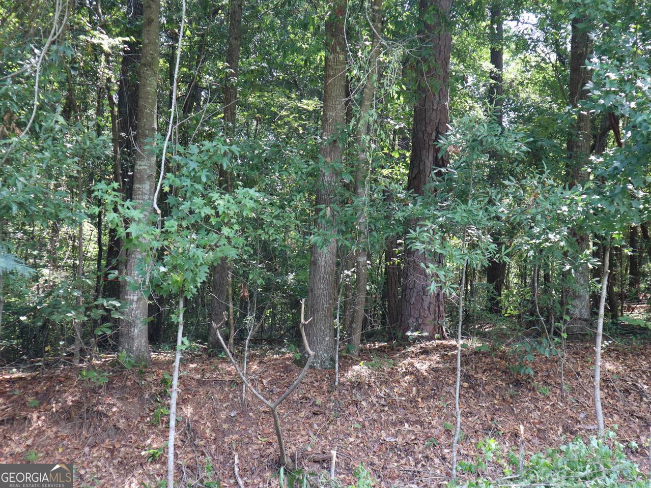 5514 & 5524 Bankston Lake Road - Photo 1