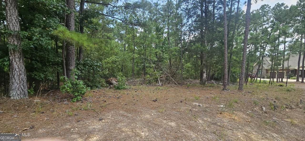 LOT 2 Amelia Drive - Photo 1