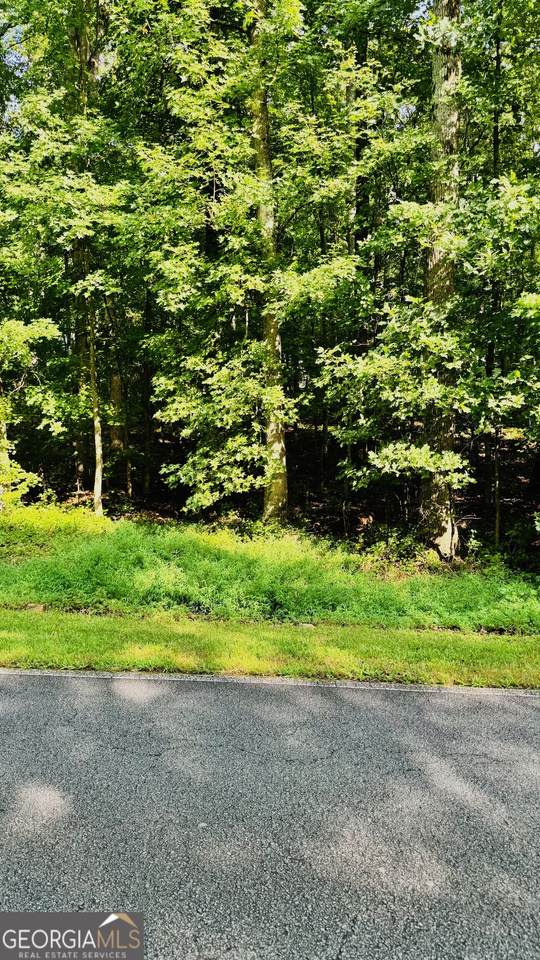 3242 Lakeview Parkway - Photo 1