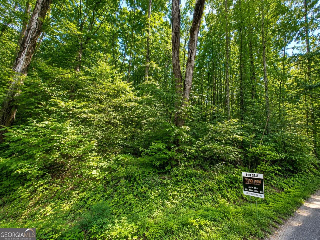 0 Salem Road - Photo 1