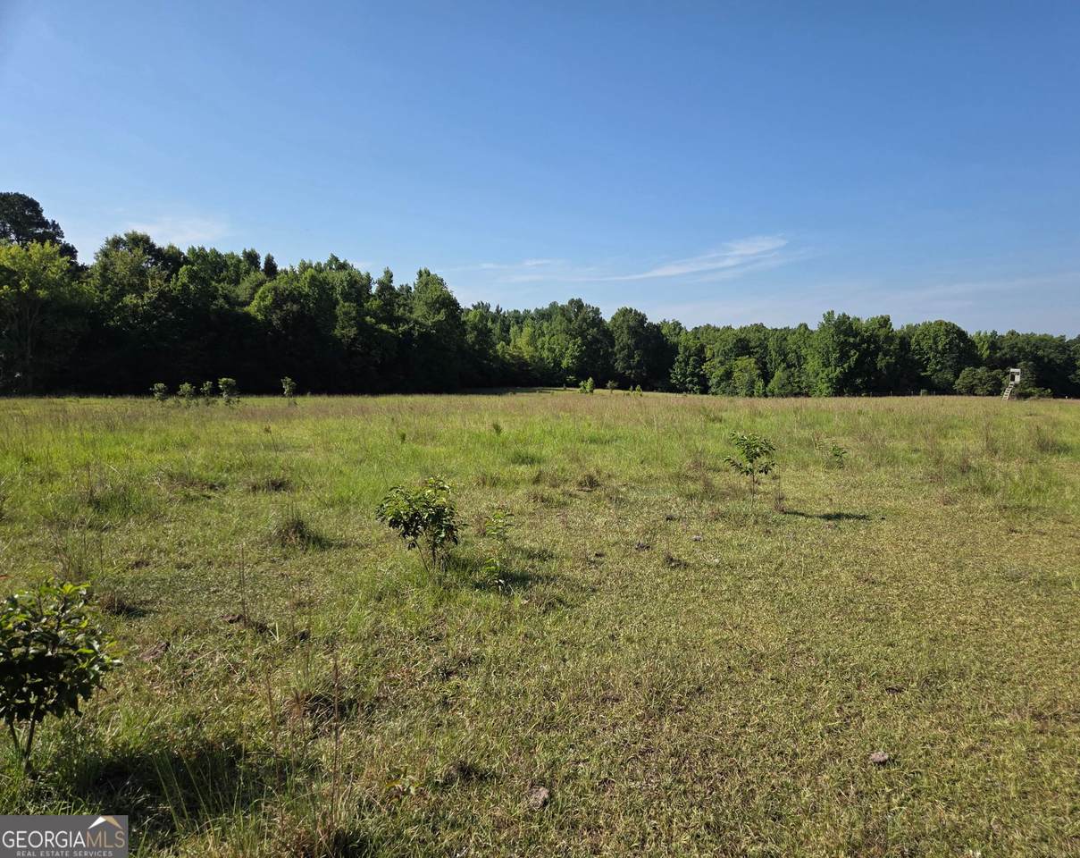 0 Rocky Branch Church Road - Photo 1