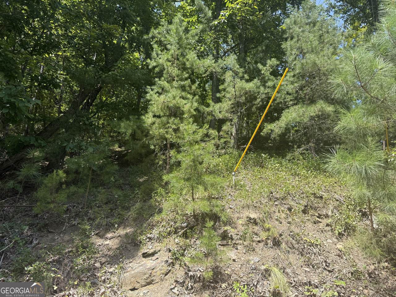 347 Meteor Court - Photo 1