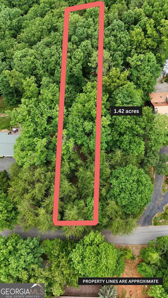 LOT B2 Starlight Drive - Photo 1