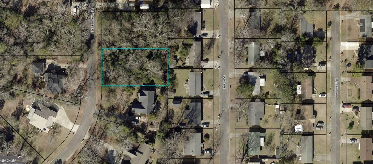 110 Laurel Oak Lane - Photo 1