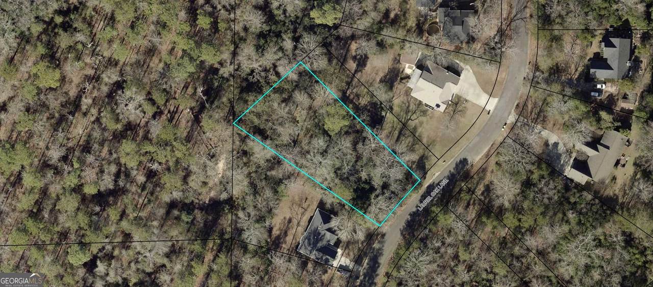 115 Laurel Oak Lane - Photo 1