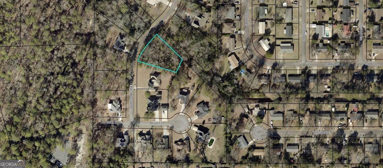 118 Laurel Oak Lane - Photo 1