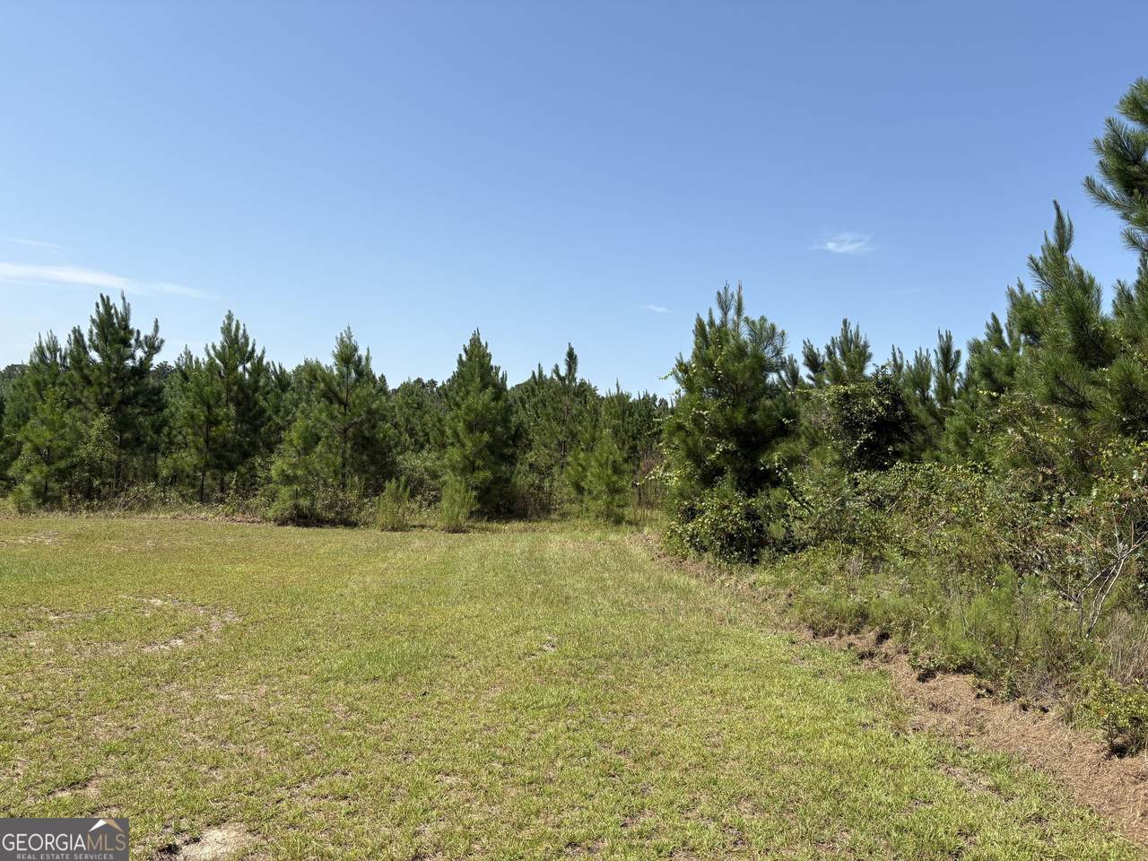 0 Dixon Road - Photo 1