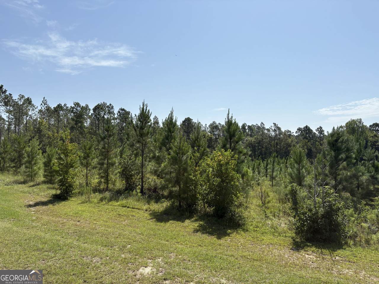 https://bt-photos.global.ssl.fastly.net/gamls/1280_boomver_1_10827809-2.jpg