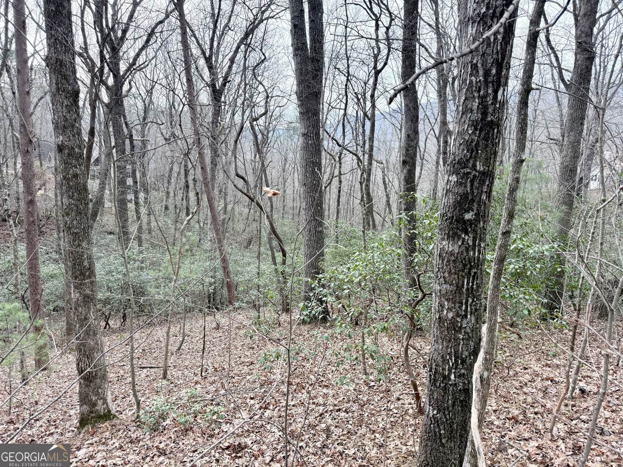 0 Monarch Lane - Photo 1