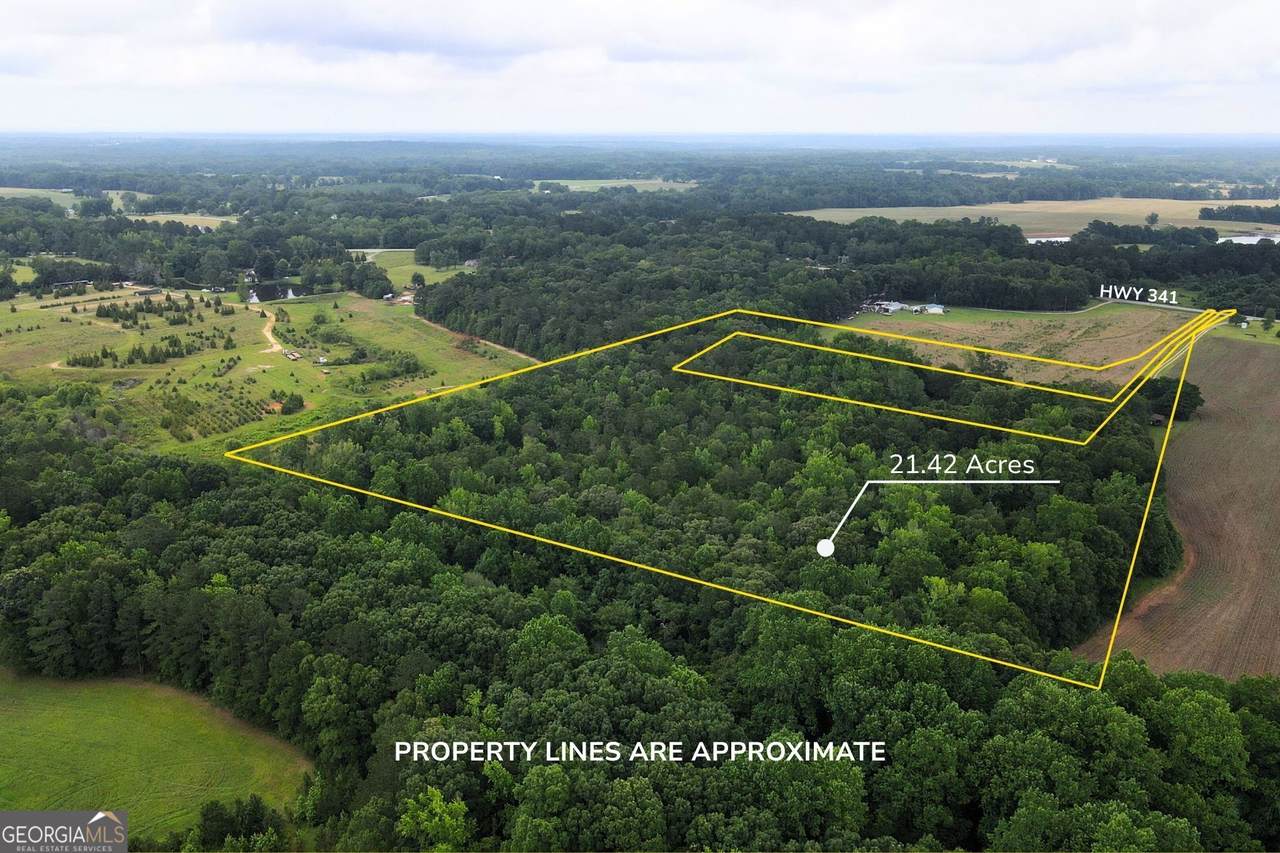 143 Highway 341 - Photo 1