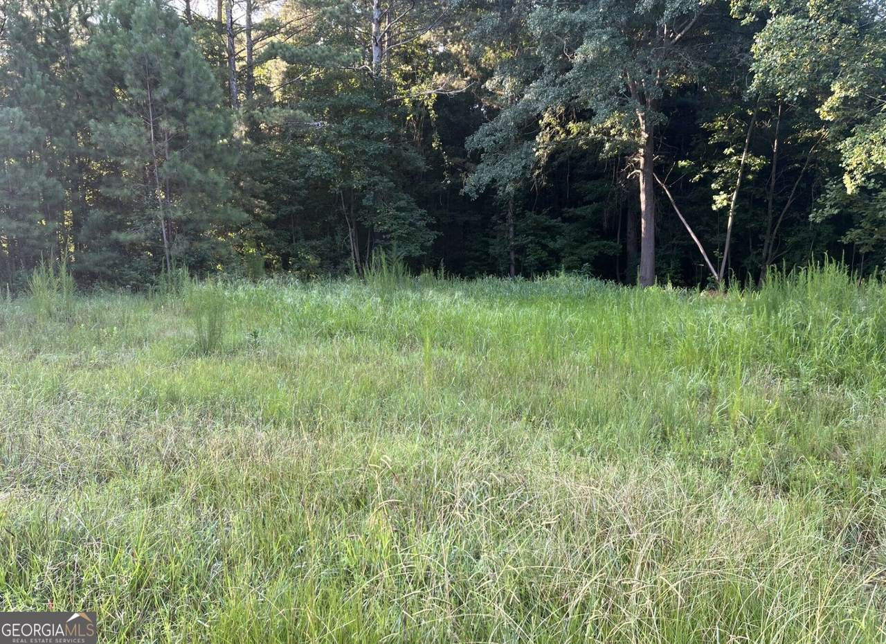 0 Tony Drive - Photo 1