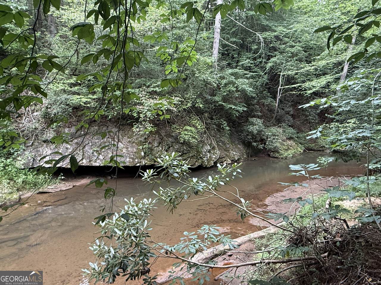 0 Yahoola Indian Trail - Photo 1