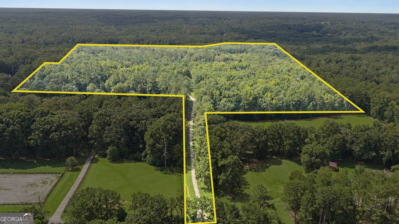 38.682 ACRES Btwn 446 & 478 Rising Star Road - Photo 1