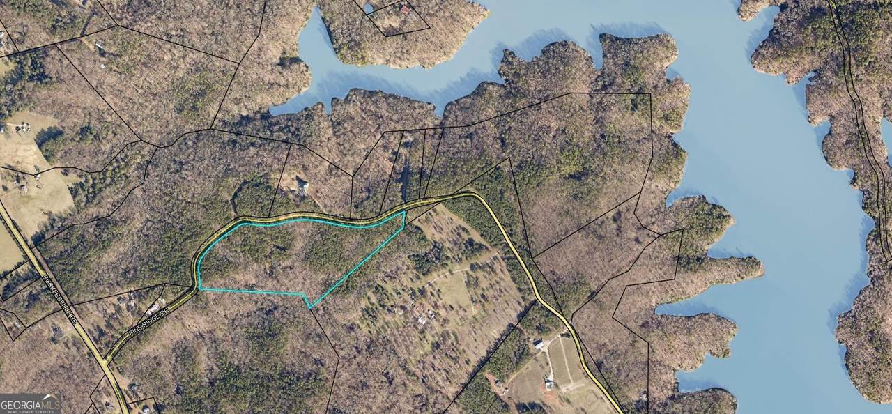 17.86AC Pine Ridge Drive - Photo 1