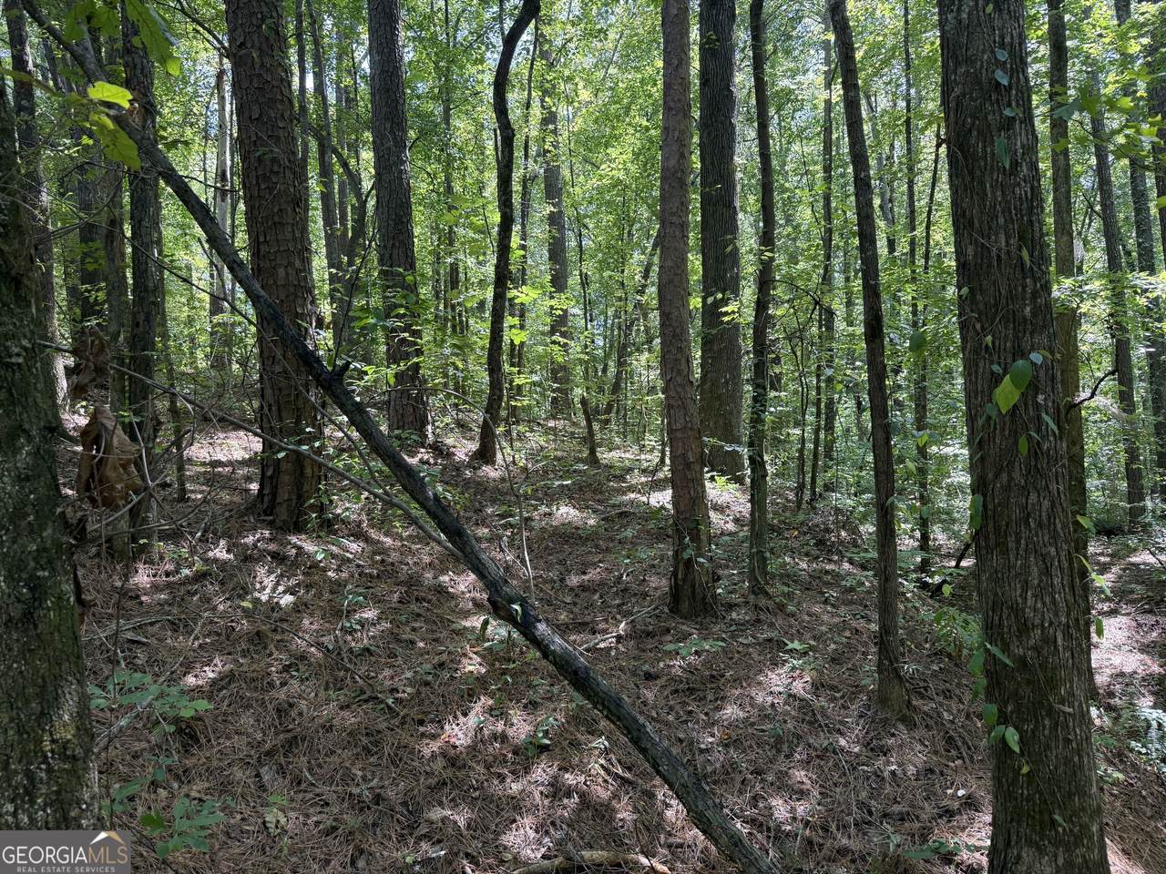 0 Center Point Road - Photo 1