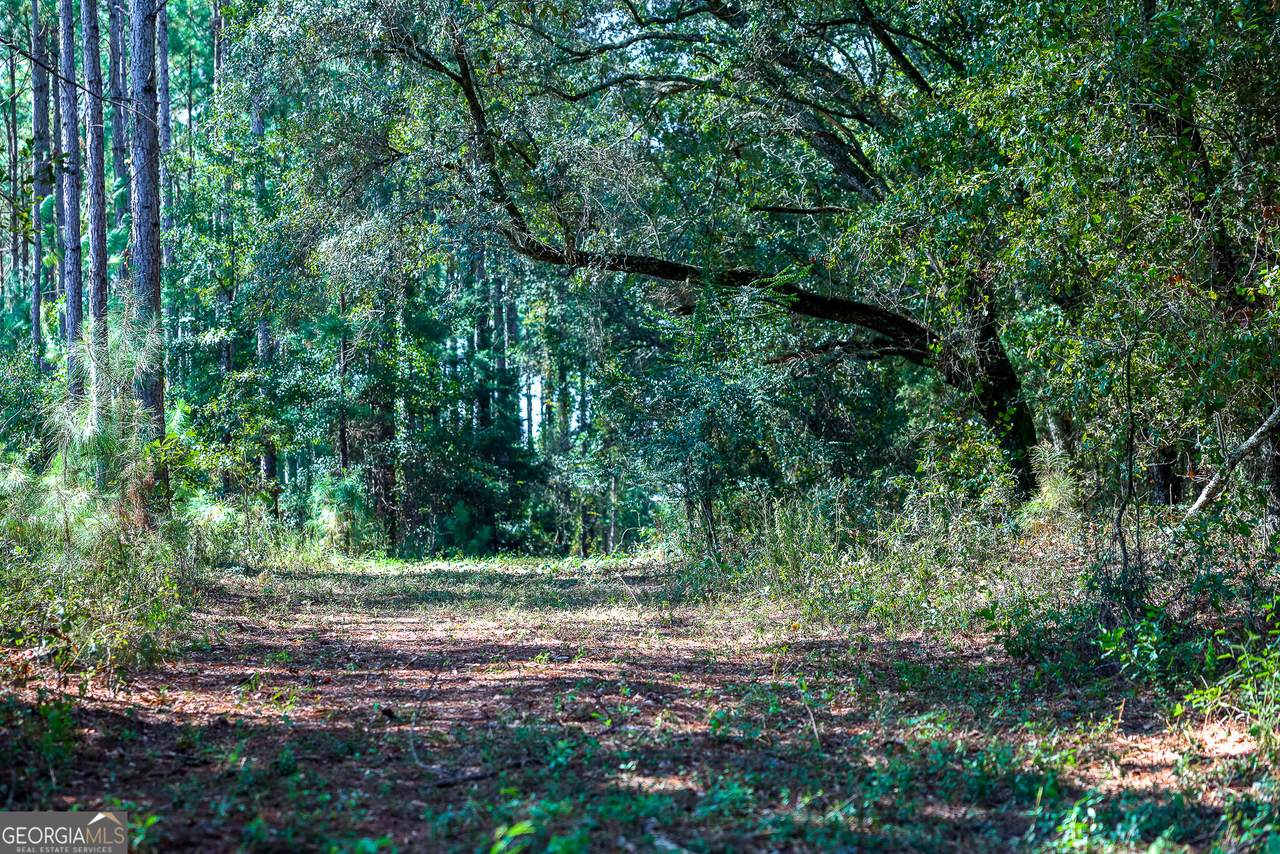 0 Pullen Road - Photo 1