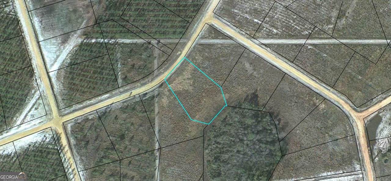 LOT 49 Pinecrest - Photo 1