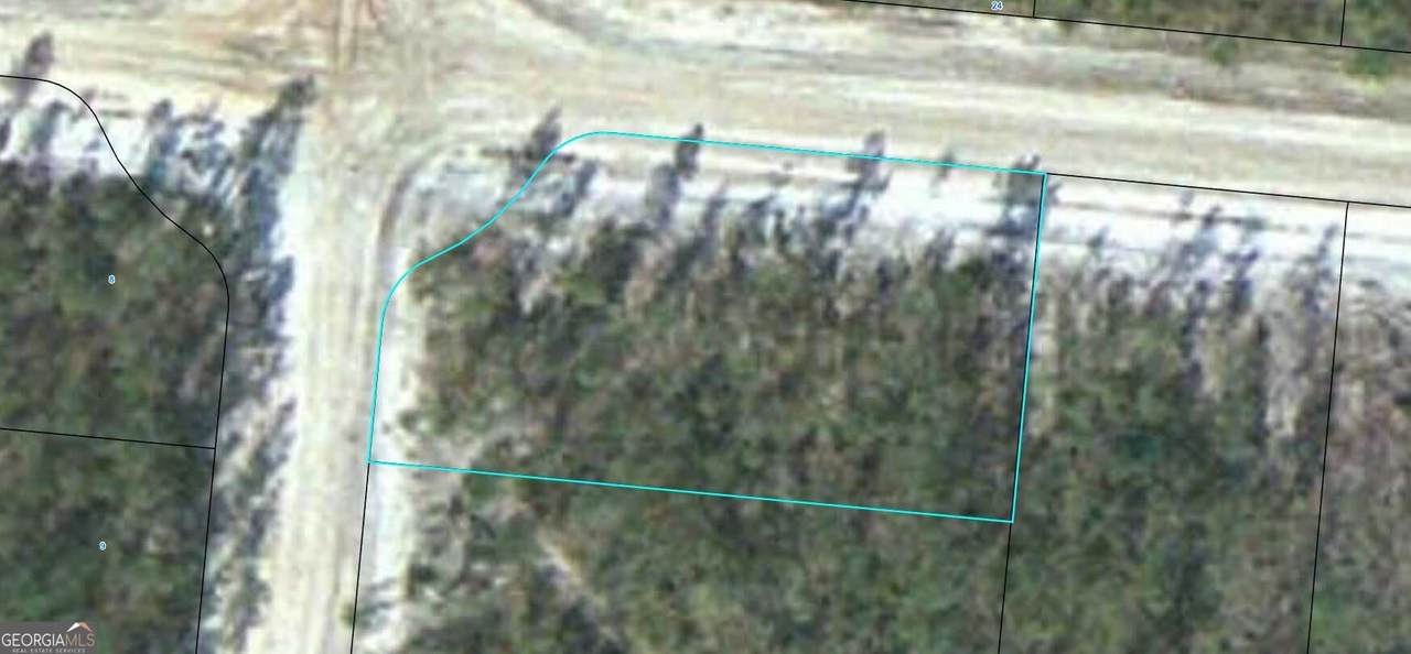 LOT 11 Satilla Plantation - Photo 1