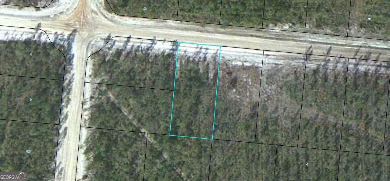 LOT 12 Satilla Plantation - Photo 1