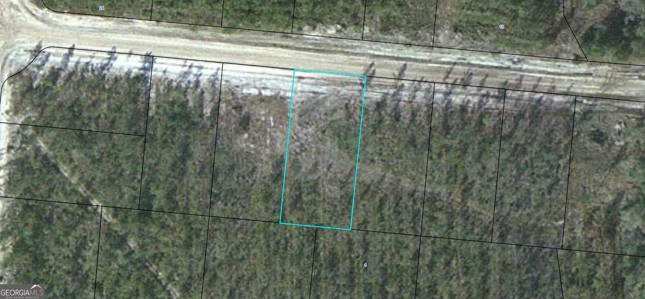 LOT 14 Satilla Plantation - Photo 1