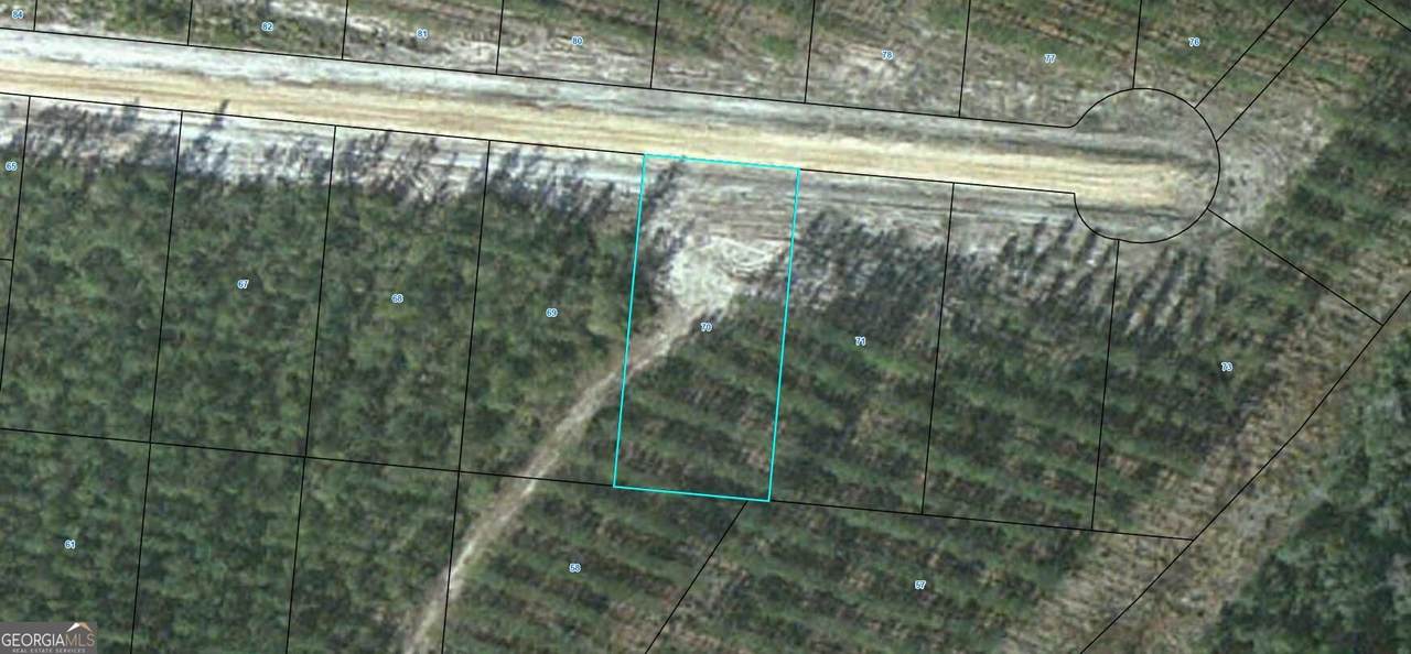 LOT 70 Satilla Plantation - Photo 1