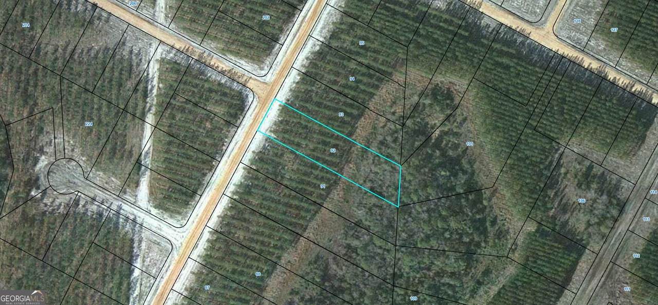 92 Satilla Plantation - Photo 1