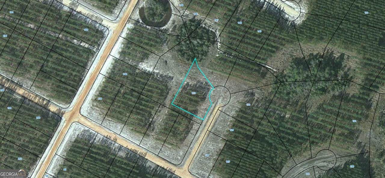 LOT 133 Satilla Plantation - Photo 1