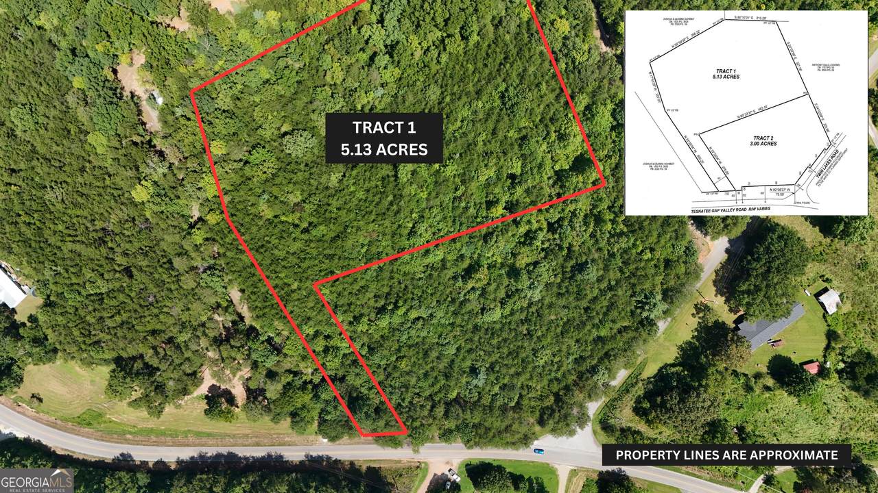TRACT 1 Tesnatee Gap Valley Road - Photo 1