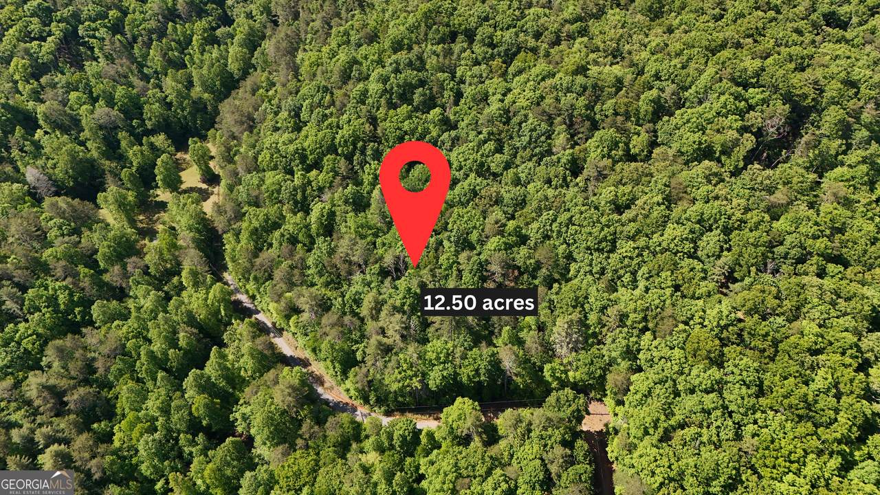 0 Gold Springs Road - Photo 1