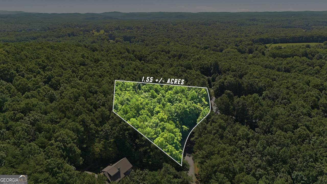 LOT 725 Plum Lane - Photo 1