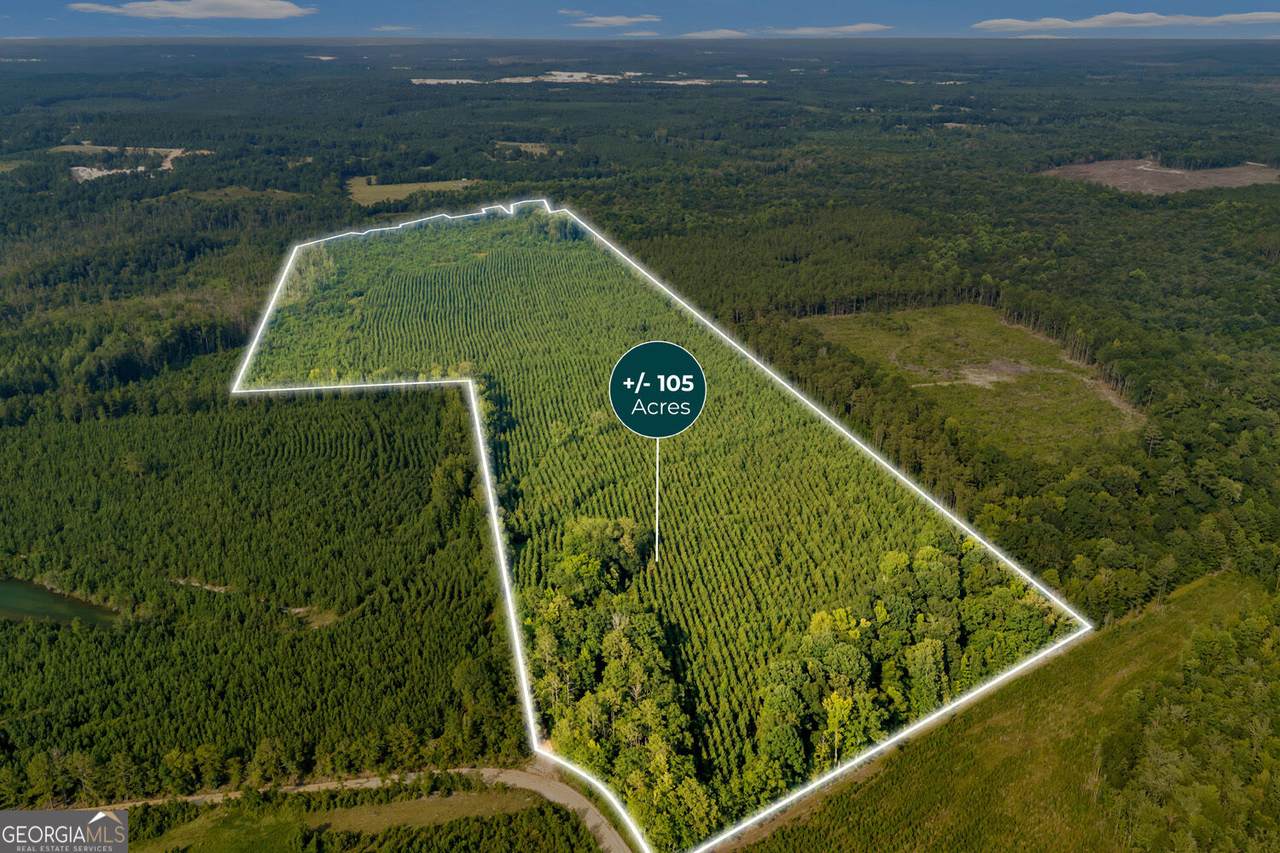 MERCER TRACT New Hopewell Church Road - Photo 1