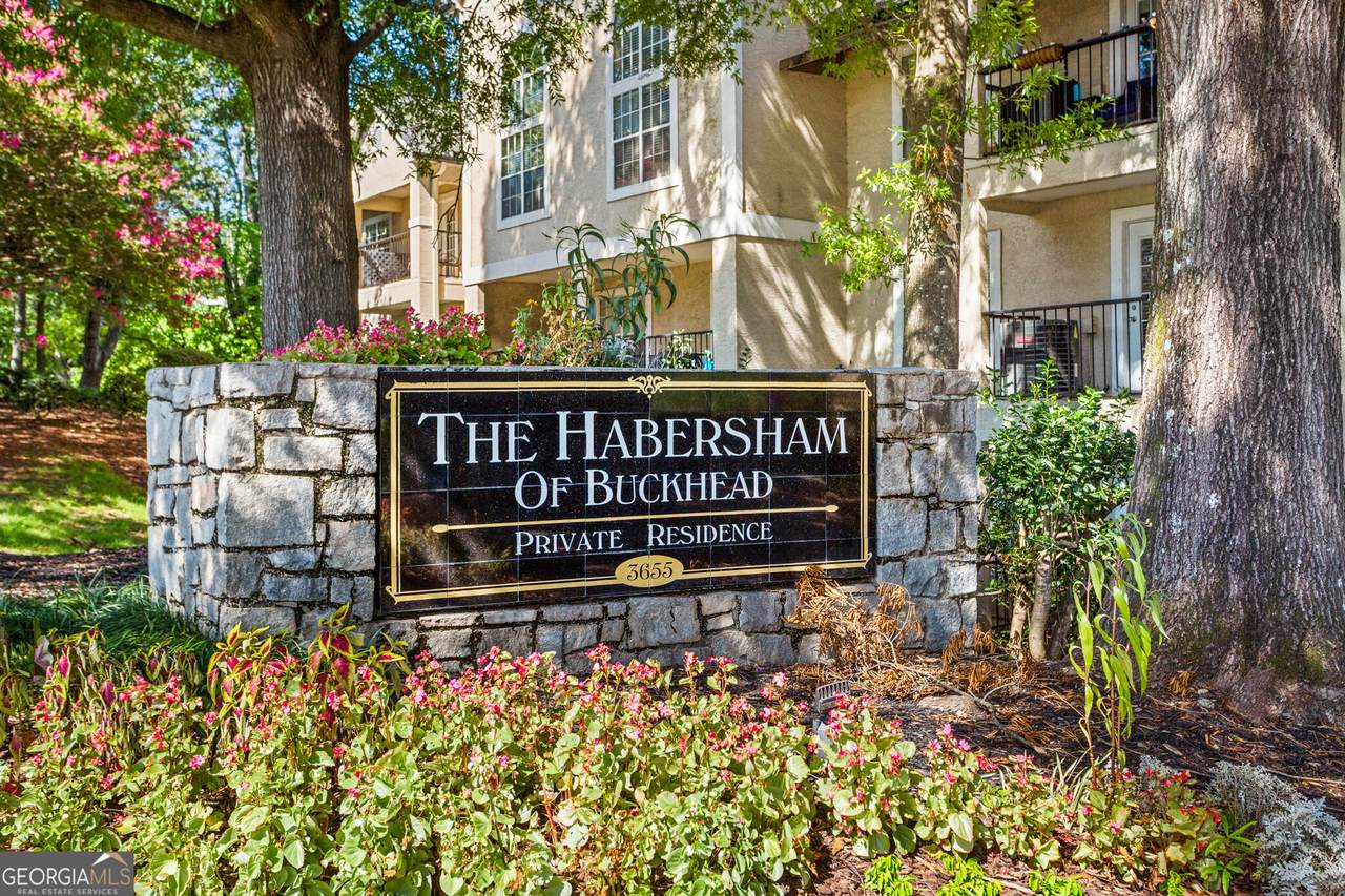 3655 Habersham Road - Photo 1