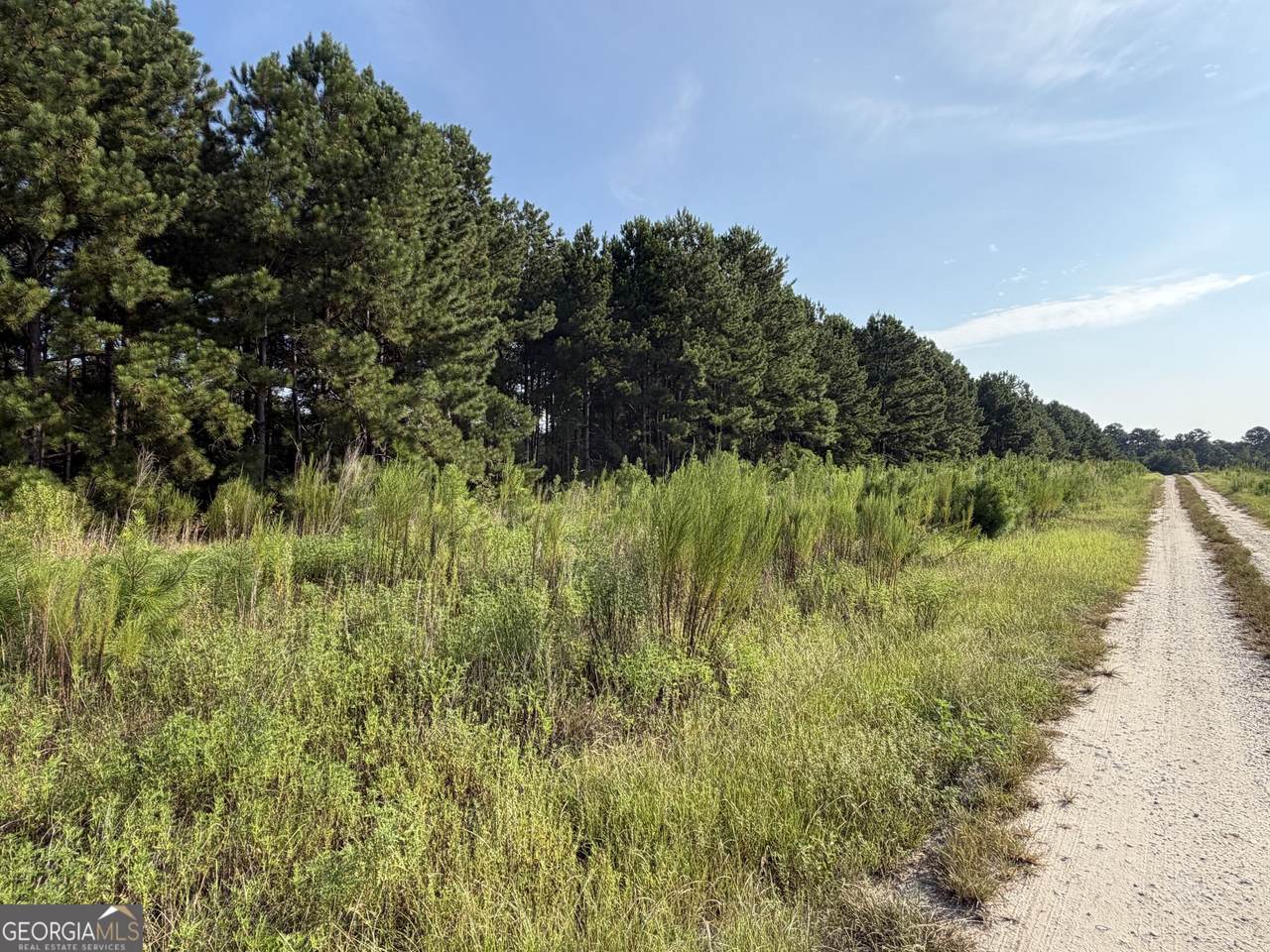 0 Highway 296 - Photo 1
