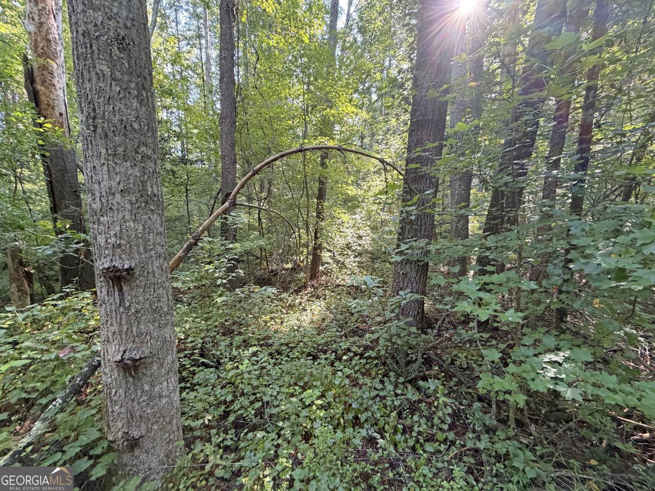 https://bt-photos.global.ssl.fastly.net/gamls/1280_boomver_1_10831165-2.jpg