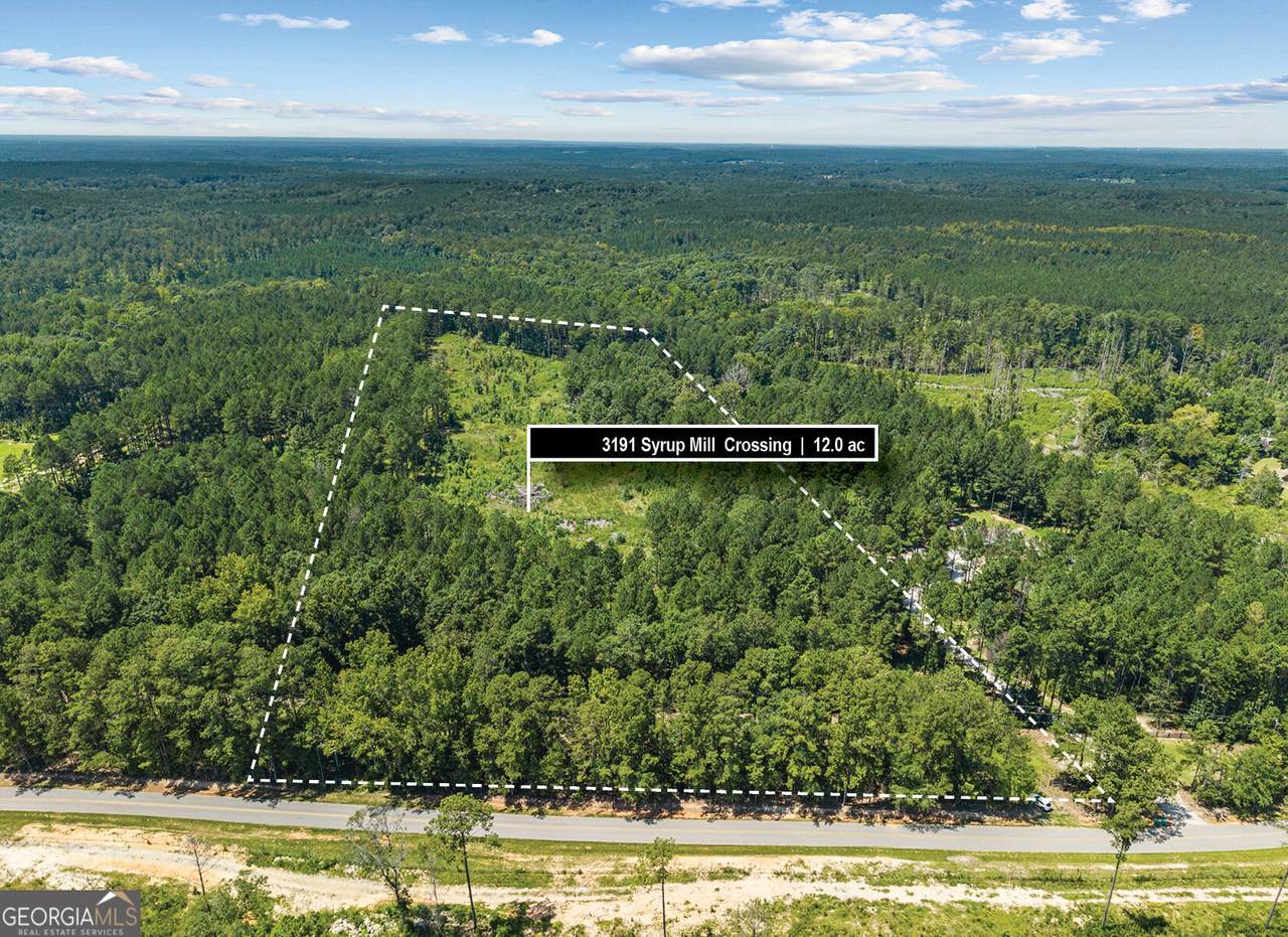 3191 Syrup Mill Crossing - Photo 1