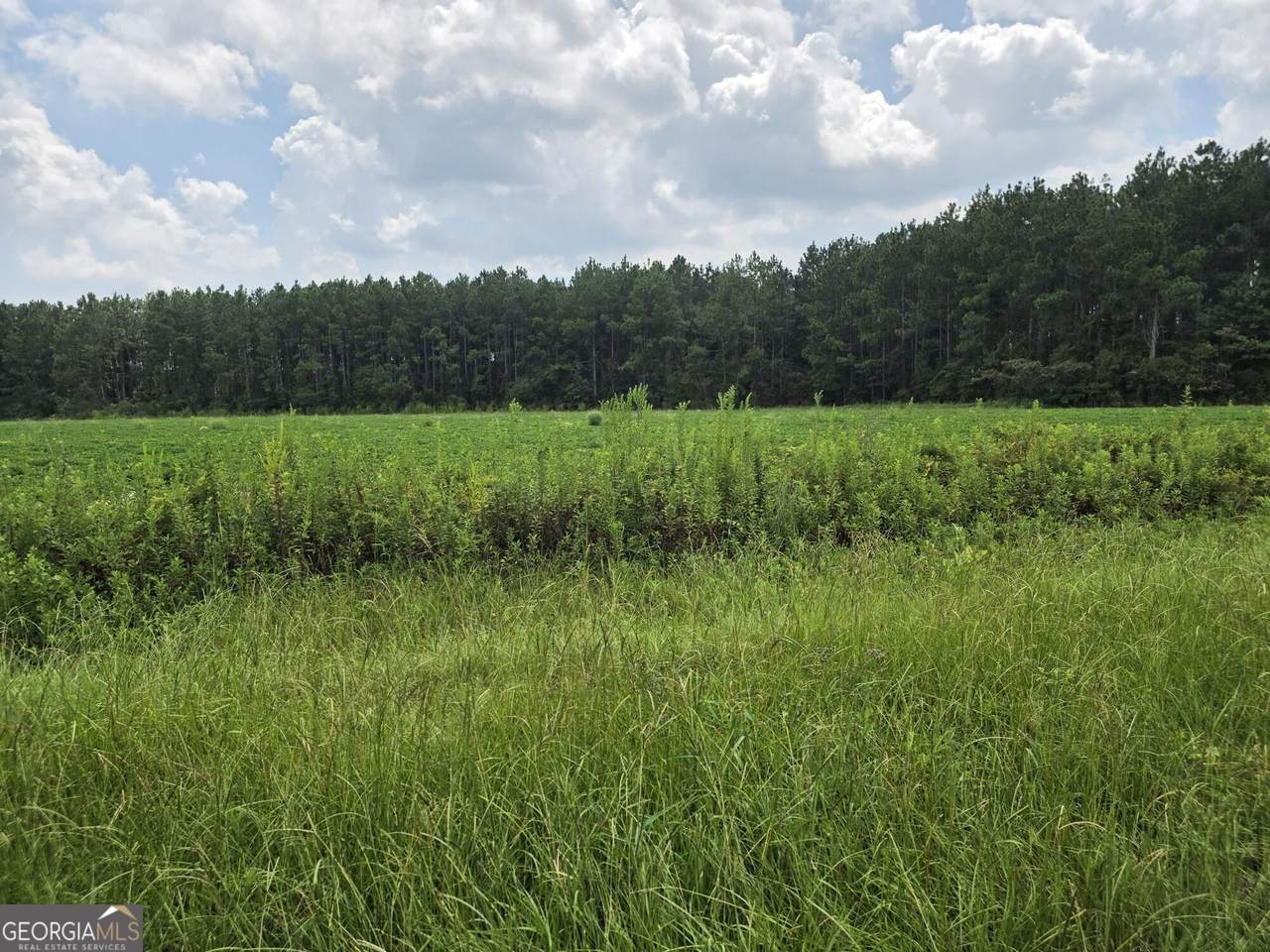 0 Roy And Blanche Hulett Road - Photo 1