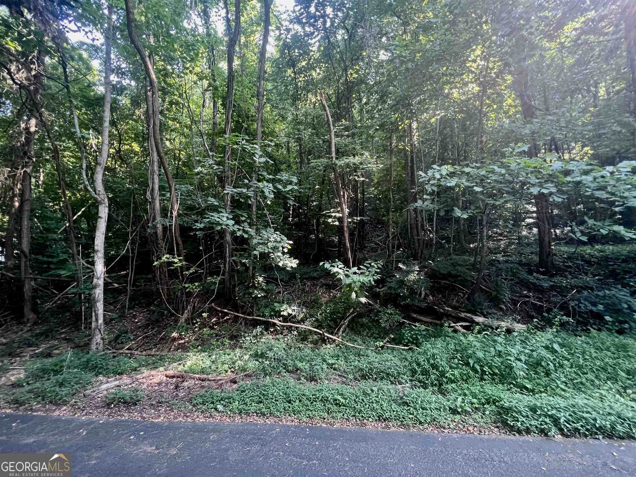 LOT 13 Chalet Drive - Photo 1