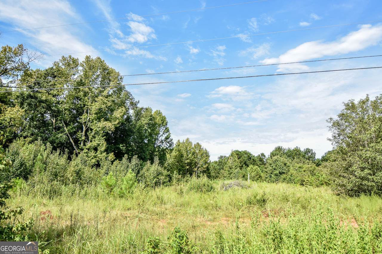 0 Etheridge Mill Road - Photo 1