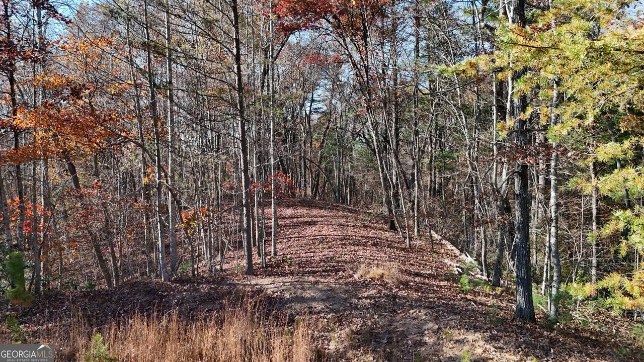 LOT 197 Springwinds Drive - Photo 1