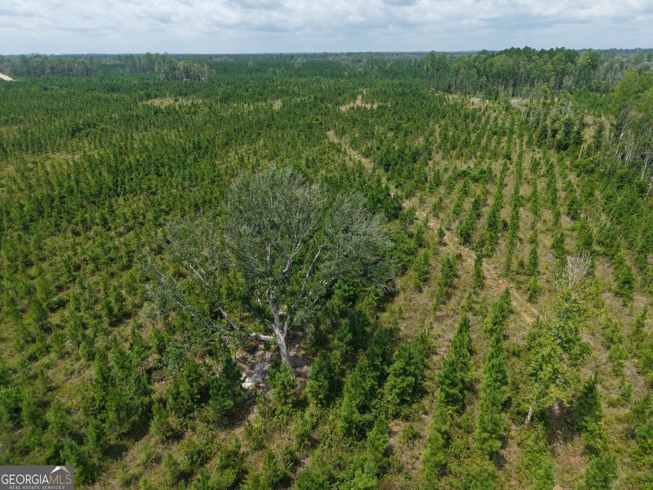 TRACT 5 Owens Ferry Rd - Photo 1