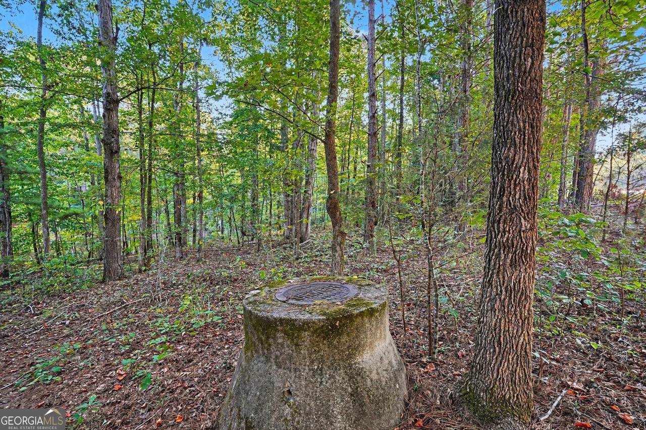 https://bt-photos.global.ssl.fastly.net/gamls/1280_boomver_1_10832541-2.jpg