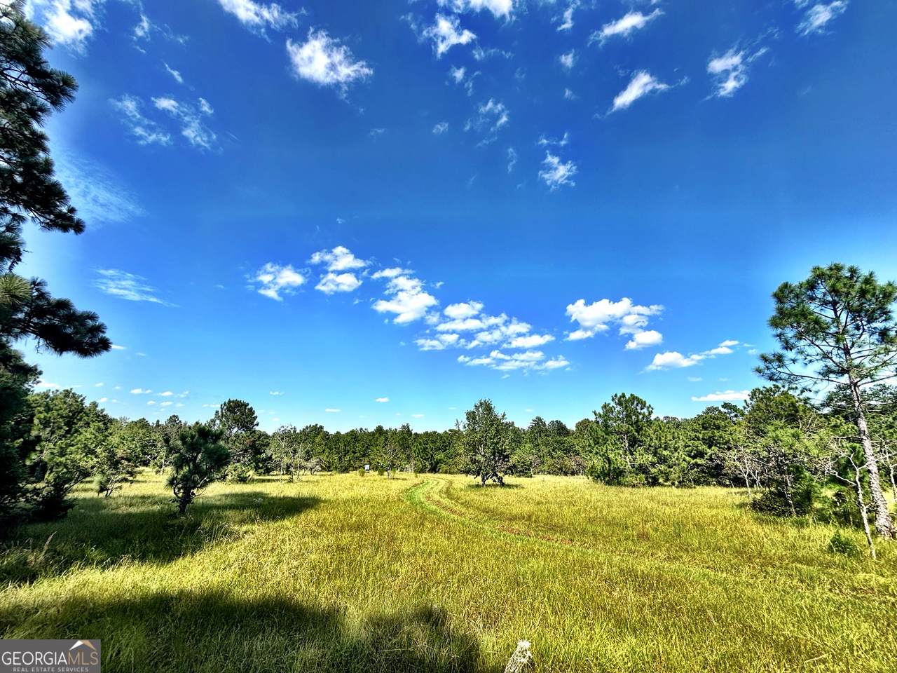 1721 Hwy 49 - Photo 1