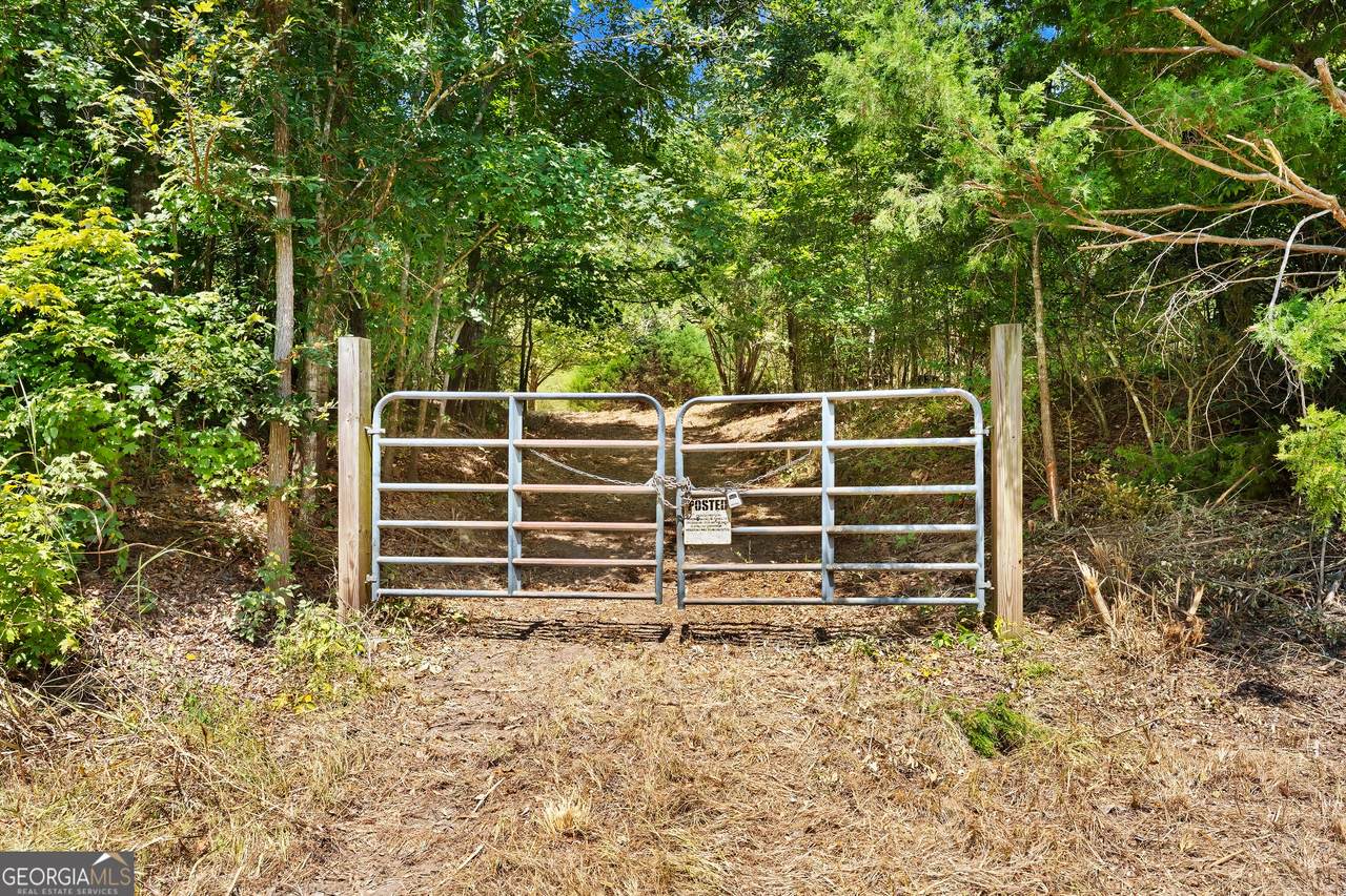 3272 Dixon Mccall Road - Photo 1