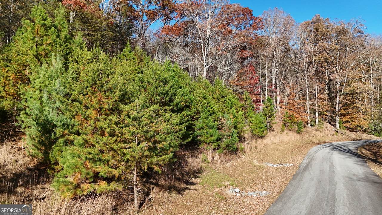 LOT 184 Northshore Drive - Photo 1