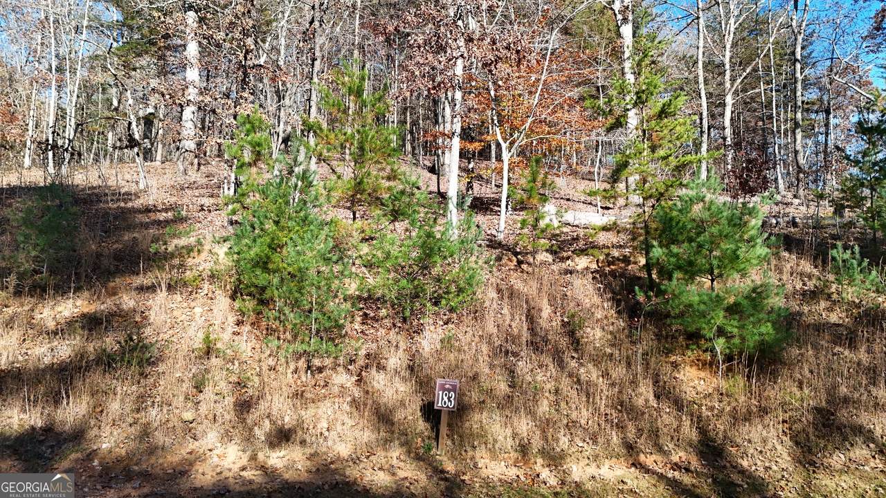 LOT 183 Northshore Drive - Photo 1