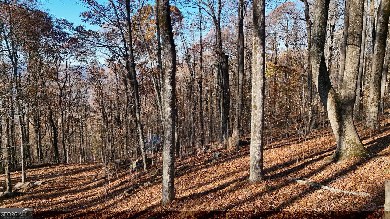 LOT 11 Mountainside Drive - Photo 1