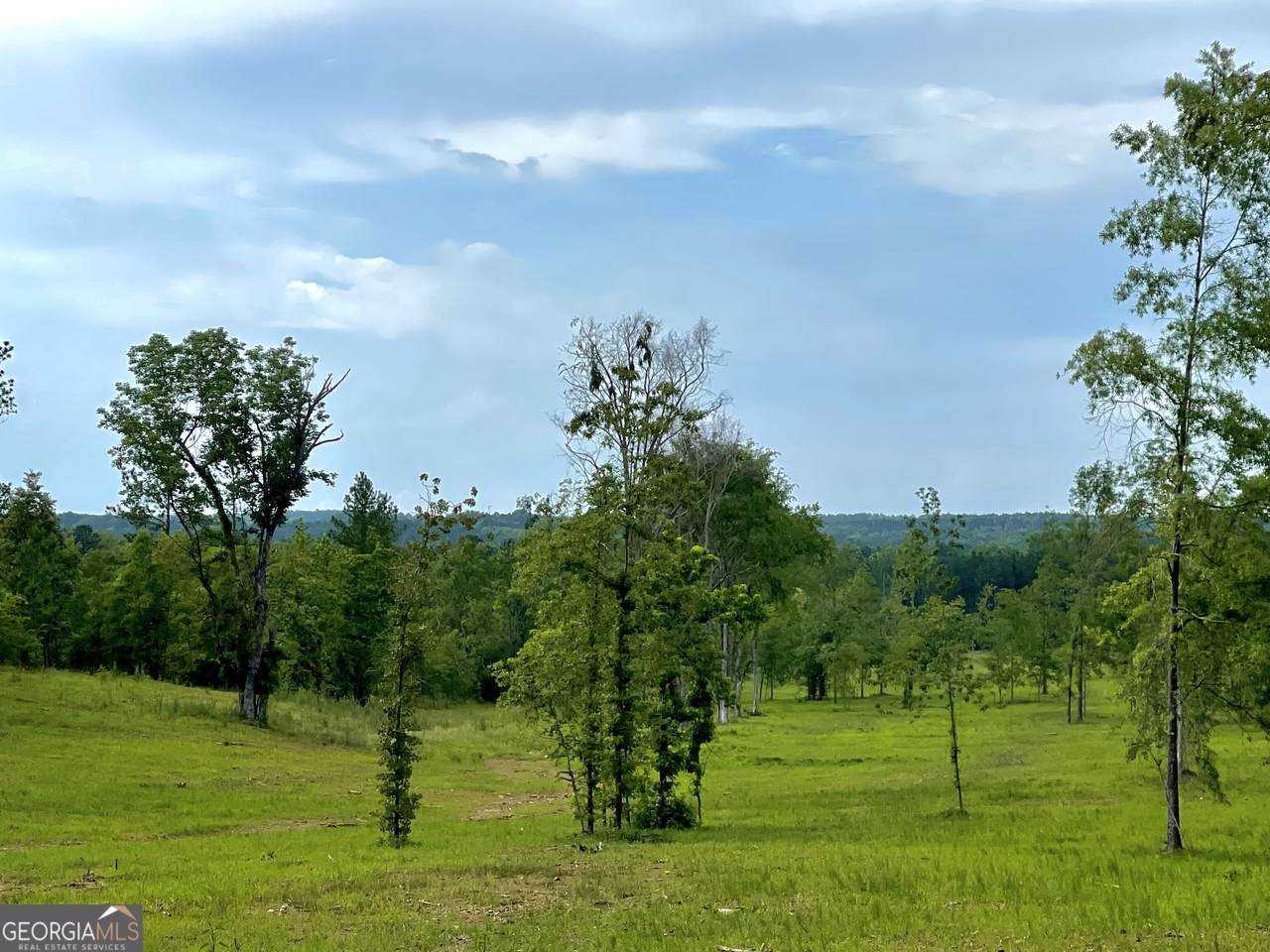 592 Arnold Caldwell Road - Photo 1